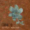 Artur Soares - Cobalto